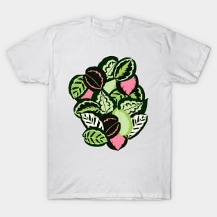 Calathea T-Shirt